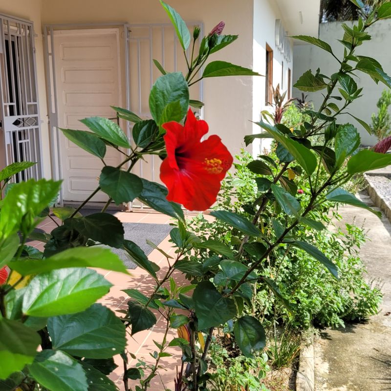 Soins médicaux Libreville