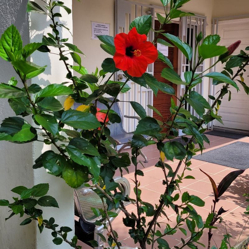 cabinet medical accueillant